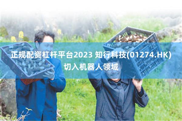 正规配资杠杆平台2023 知行科技(01274.HK)切入机器人领域