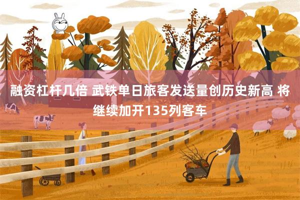 融资杠杆几倍 武铁单日旅客发送量创历史新高 将继续加开135列客车