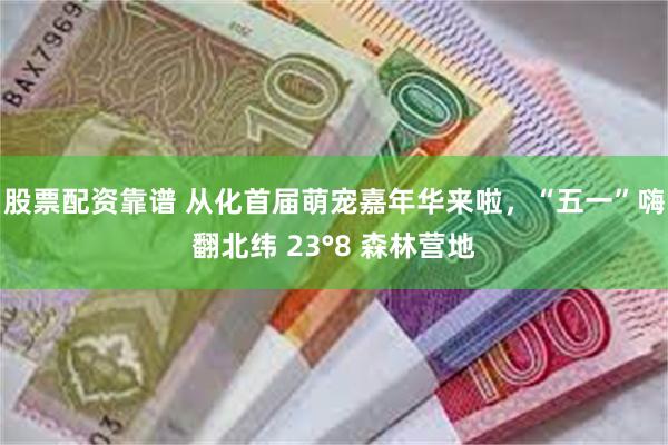 股票配资靠谱 从化首届萌宠嘉年华来啦，“五一”嗨翻北纬 23°8 森林营地