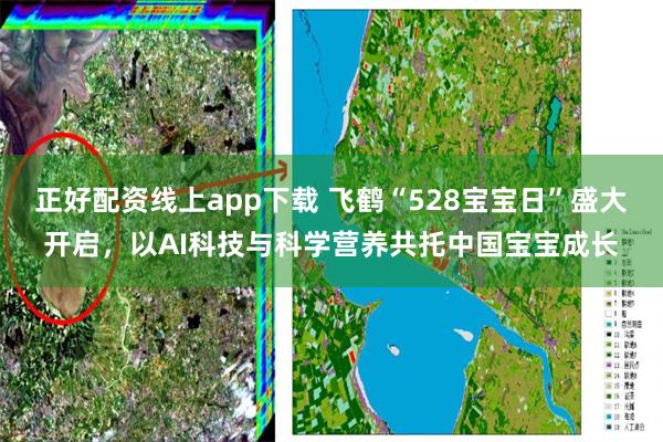 正好配资线上app下载 飞鹤“528宝宝日”盛大开启，以AI科技与科学营养共托中国宝宝成长