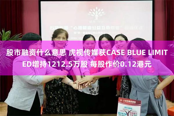 股市融资什么意思 虎视传媒获CASE BLUE LIMITED增持1212.5万股 每股作价0.12港元
