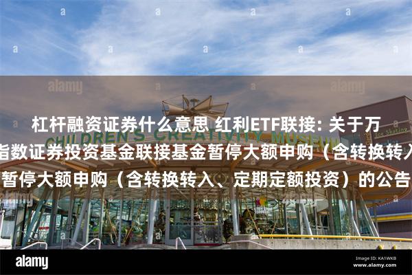 杠杆融资证券什么意思 红利ETF联接: 关于万家中证红利交易型开放式指数证券投资基金联接基金暂停大额申购(含转换转入、定期定额投资)的公告