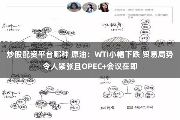炒股配资平台哪种 原油：WTI小幅下跌 贸易局势令人紧张且OPEC+会议在即