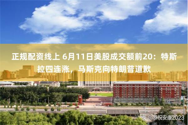 正规配资线上 6月11日美股成交额前20：特斯拉四连涨，马斯克向特朗普道歉