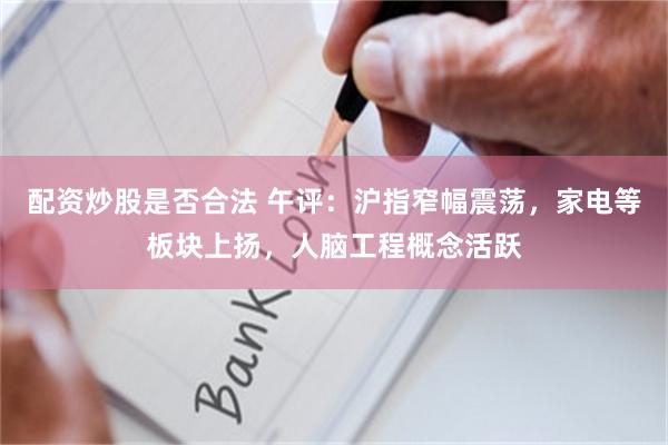 配资炒股是否合法 午评：沪指窄幅震荡，家电等板块上扬，人脑工程概念活跃
