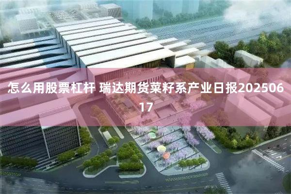 怎么用股票杠杆 瑞达期货菜籽系产业日报20250617