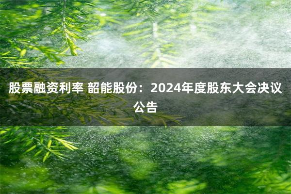 股票融资利率 韶能股份：2024年度股东大会决议公告