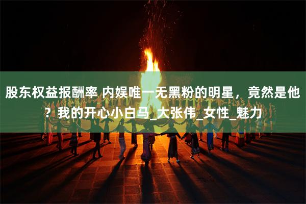 股东权益报酬率 内娱唯一无黑粉的明星，竟然是他？我的开心小白马_大张伟_女性_魅力