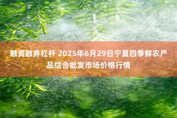 融资融券杠杆 2025年6月29日宁夏四季鲜农产品综合批发市场价格行情